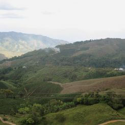  Colombia_Felice_7