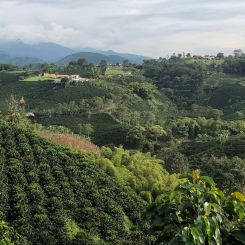  Colombia_Maytama_Castillo_Natural_7