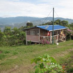 Ecuador_Maputo_honey_1