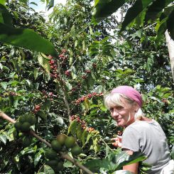 Ecuador_Maputo_honey_4