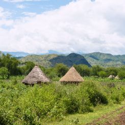  Ethiopia_Natural_Guji_7
