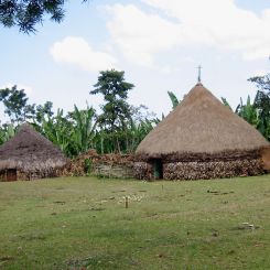  Ethiopia_Sidamo_Grade_4_2