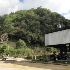  Honduras_Calan_SHG_7