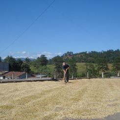  Guatemala_Acatenago_5