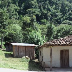  Honduras_Calan_SHG_1