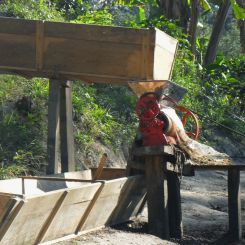  Honduras_Calan_SHG_3