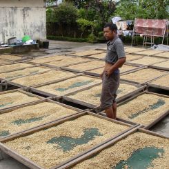 Indonesia_Mandheling_3