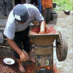  Indonesia_Takengon_Gayo_6