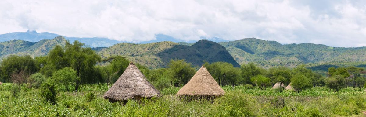  Ethiopia_Natural_Guji