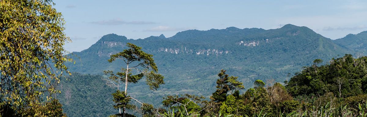  Nicaragua_SHG_EP