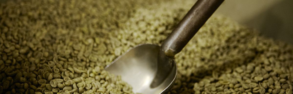 Green Coffee Micro Lots Single Estate