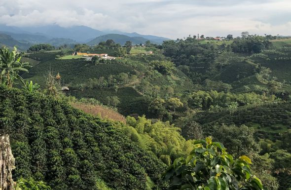  Colombia_Maytama_Castillo_Natural