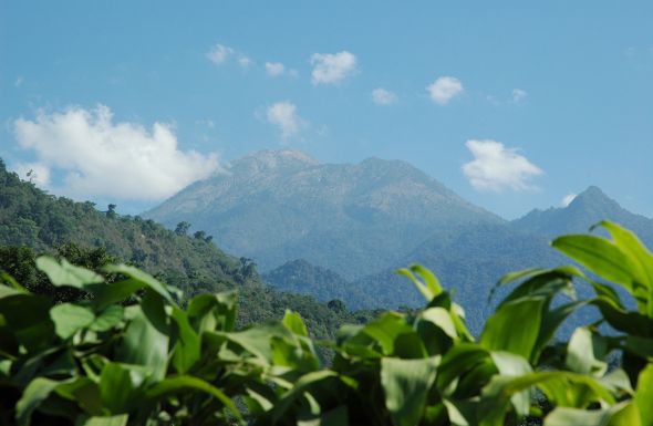  Guatemala_La_Delicia