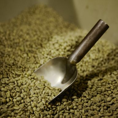 Green Coffee Micro Lots Single Estate