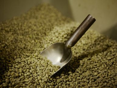 Green Coffee Micro Lots Single Estate